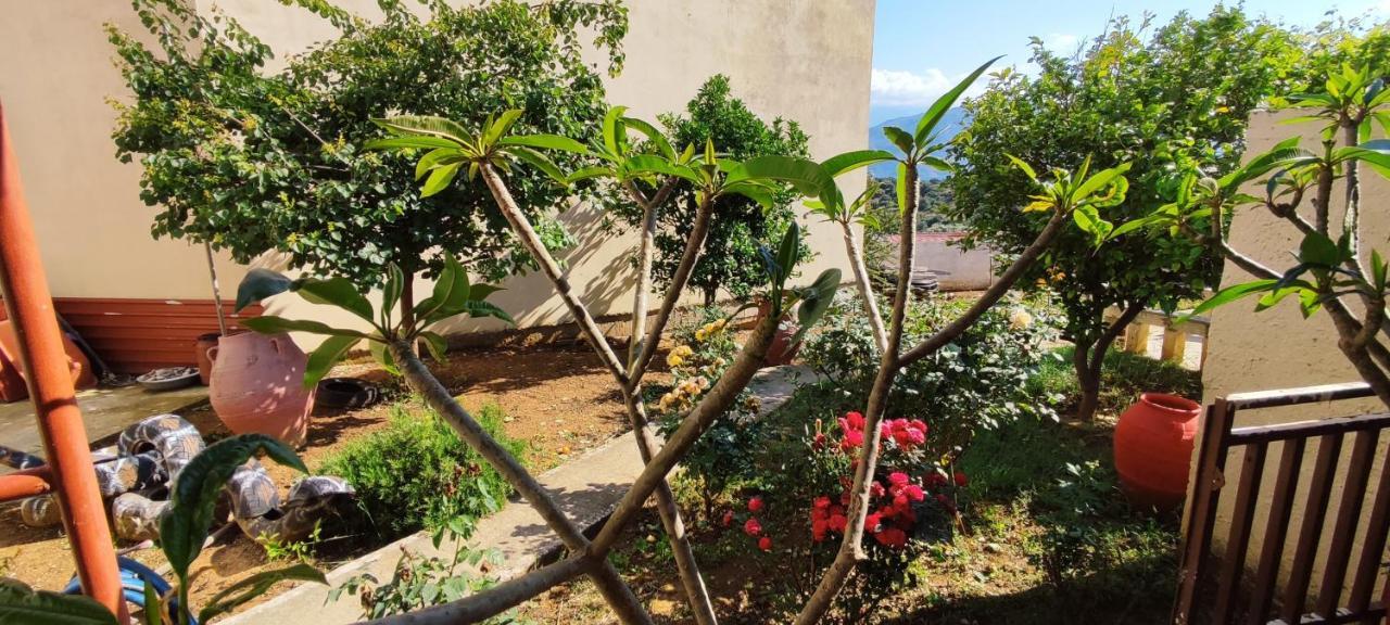 Village House With A Nice Garden Stérnai Dış mekan fotoğraf